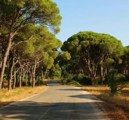 Летний дом Kalogria Beach Apartments *