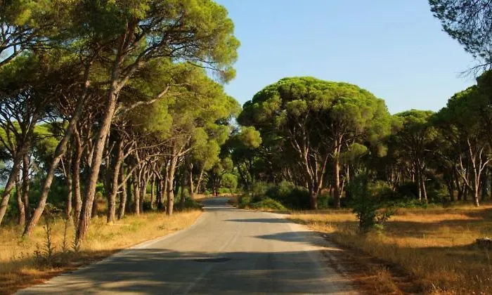 Εξοχικό σπίτι Kalogria Beach Apartments *